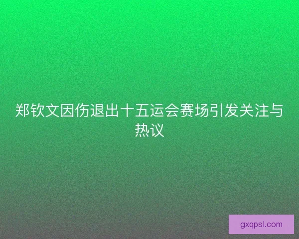 郑钦文因伤退出十五运会赛场引发关注与热议 郑钦文因伤退出十五运会赛场引发关注与热议