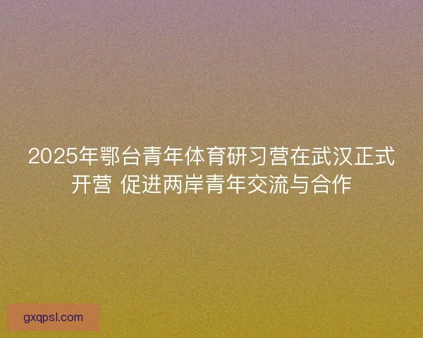 2025年鄂台青年体育研习营在武汉正式开营 促进两岸青年交流与合作 2025年鄂台青年体育研习营在武汉正式开营 促进两岸青年交流与合作