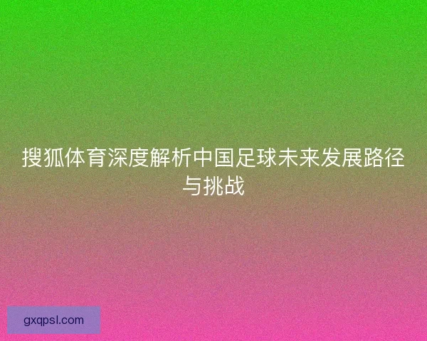 搜狐体育深度解析中国足球未来发展路径与挑战 搜狐体育深度解析中国足球未来发展路径与挑战