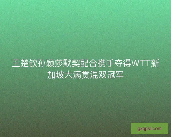 王楚钦孙颖莎默契配合携手夺得WTT新加坡大满贯混双冠军 王楚钦孙颖莎默契配合携手夺得WTT新加坡大满贯混双冠军